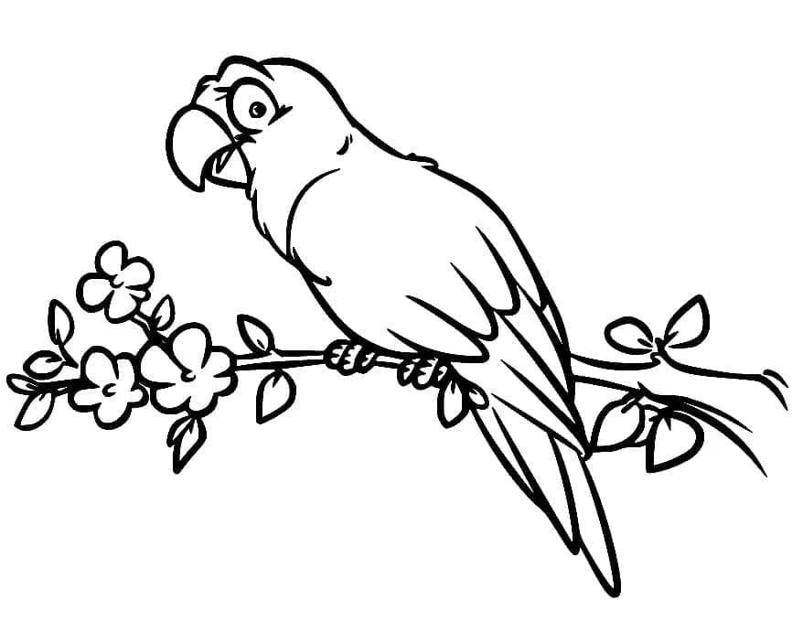 Papagal de desene animate pe ramură