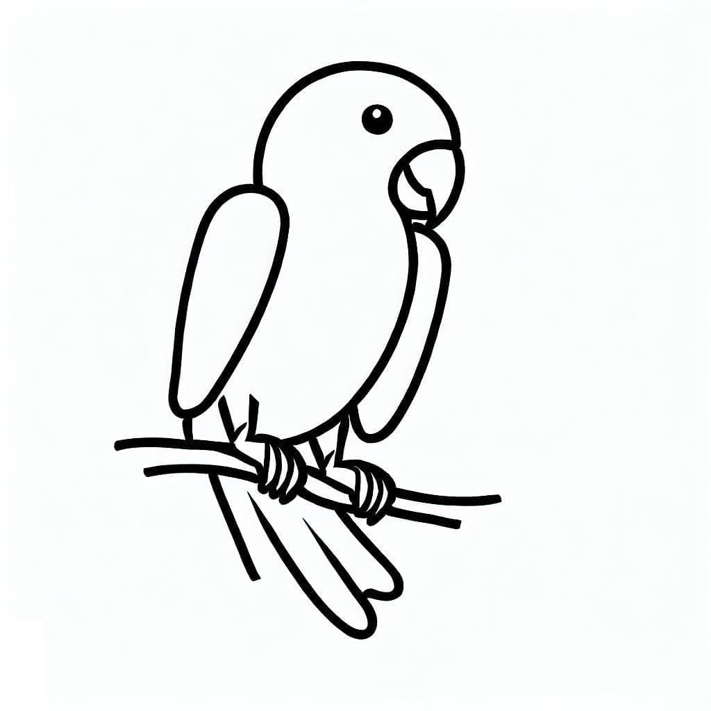 Fi e De Colorat Cu Papagal Dr gu Z mbind Imagini De Colorat Gratuite Fi e De Colorat Cu Papagal Dr gu Z mbind Imagini De Colorat Gratuite