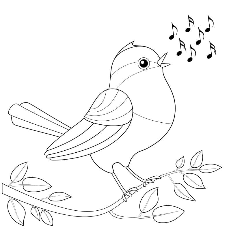 Pasărea drăguță cântă