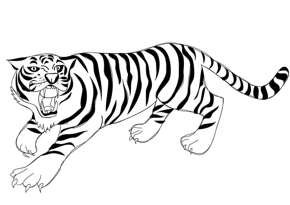 Tigru p5