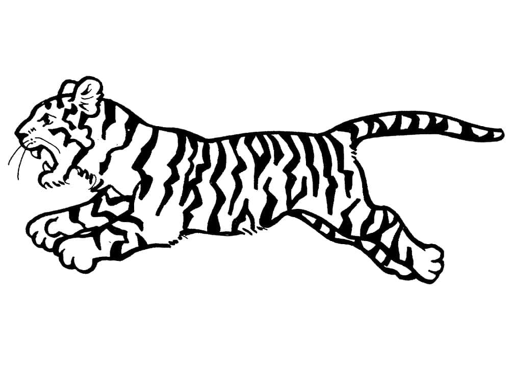 Tigru p7
