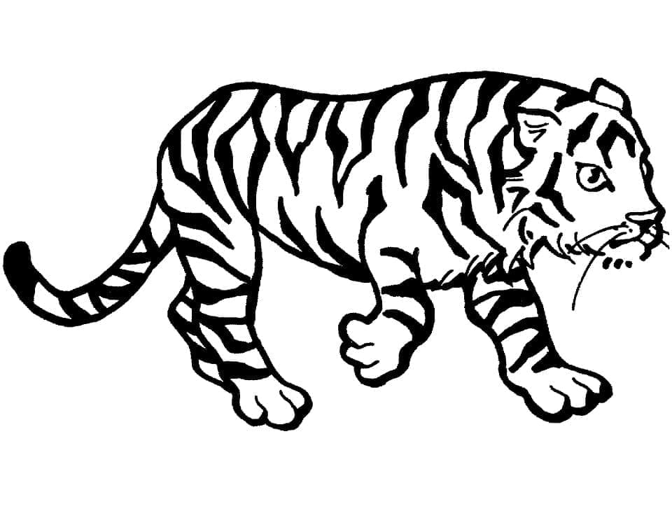 Tigrul merge