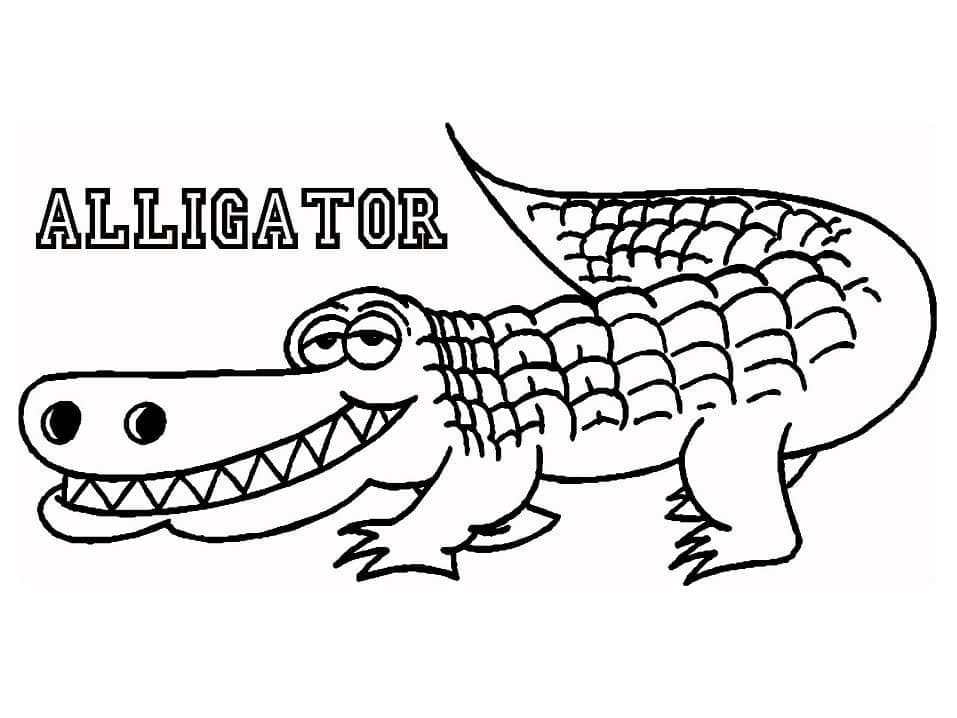Un aligator amuzant