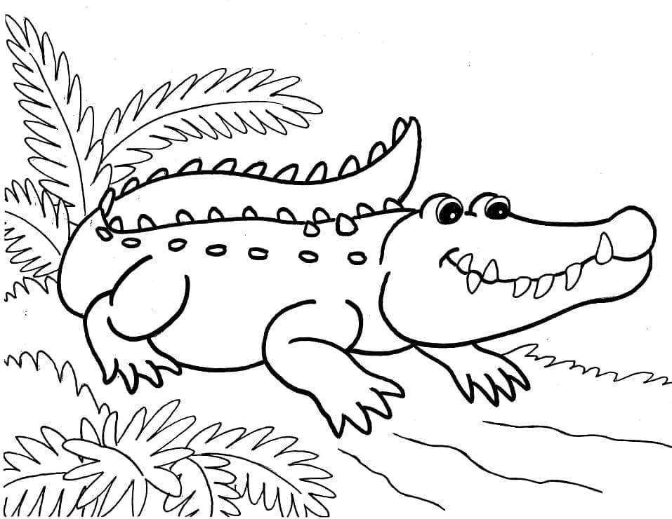 Un aligator zâmbitor