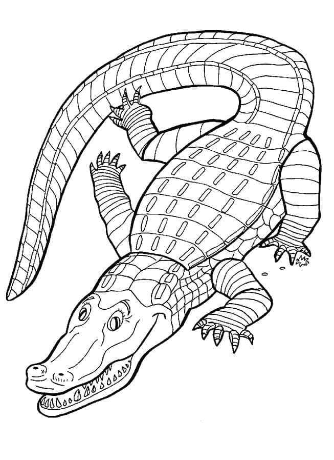 Un aligator