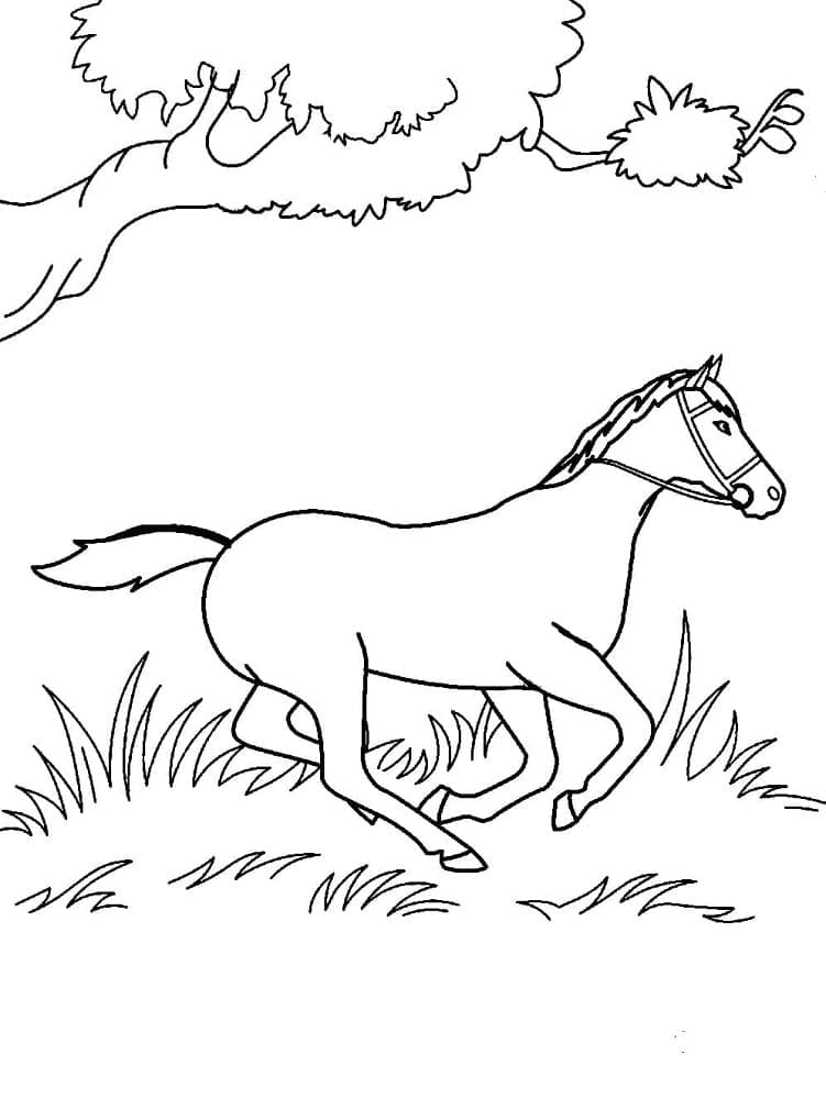 Un cal alergător
