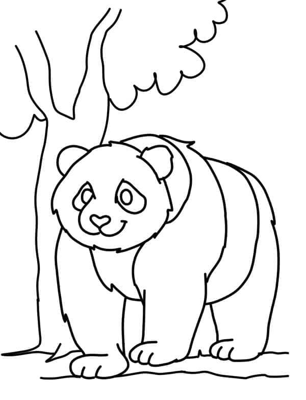 Un panda uriaș