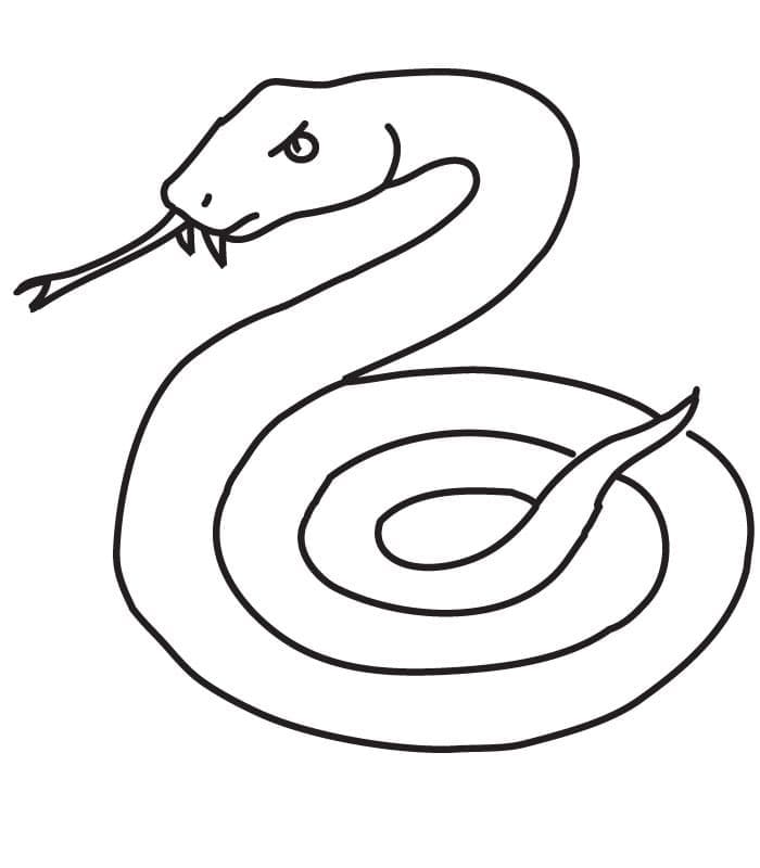 Un șarpe foarte simplu