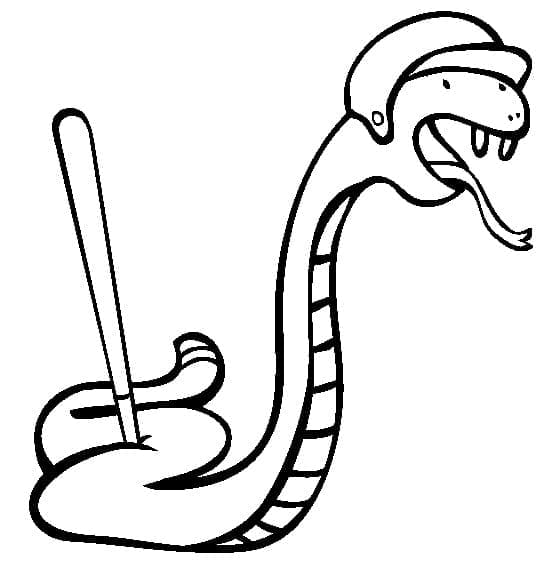 Un șarpe joacă baseball