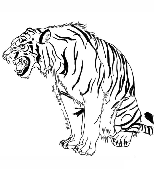 Un tigru furios