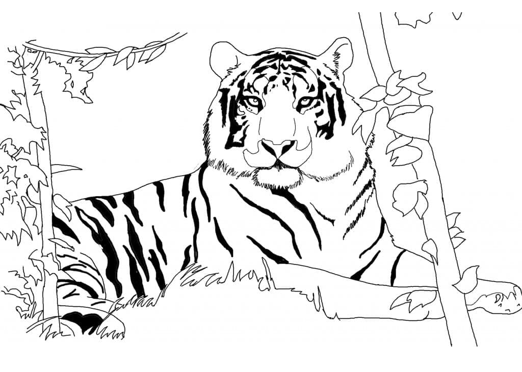 Un tigru în junglă