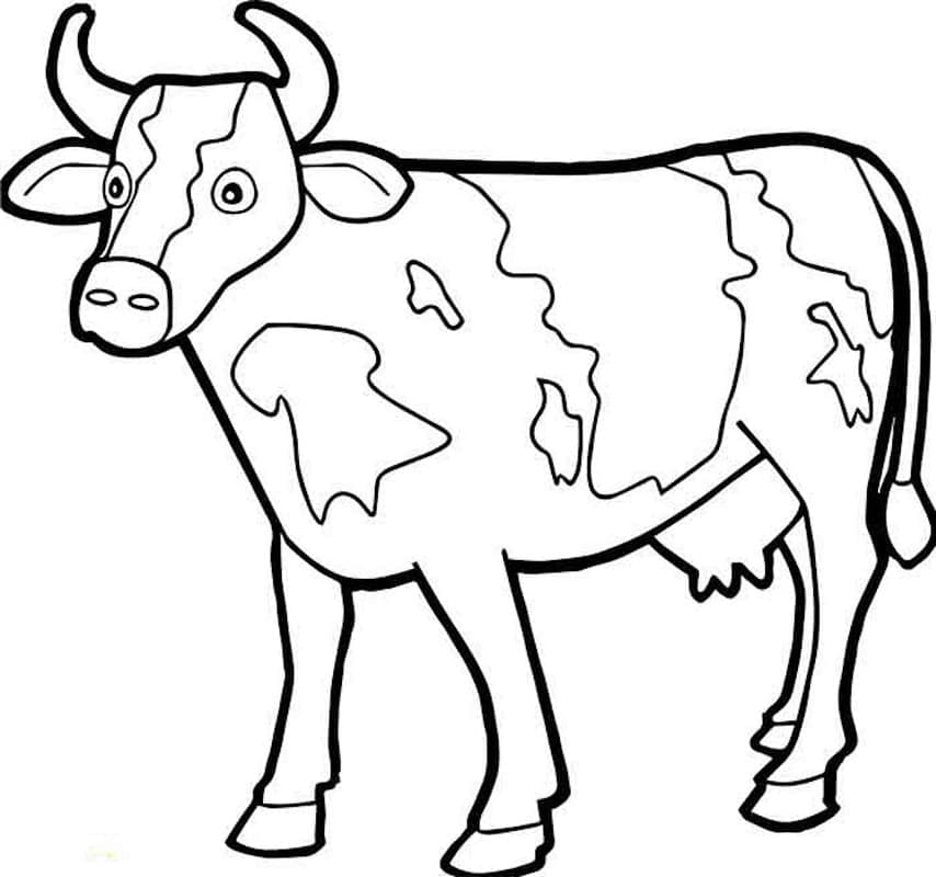 Vaca de fermă