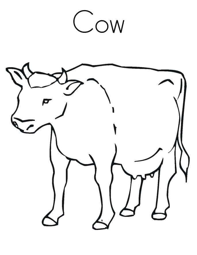 Vacă foarte simplă
