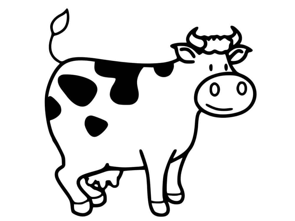 Vacă p6