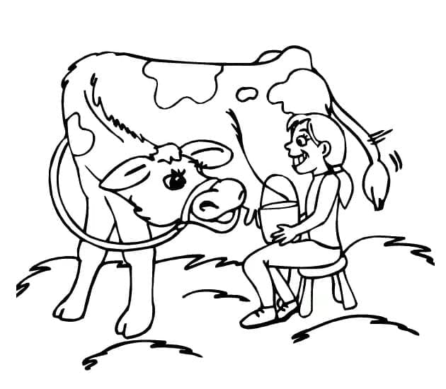 Vaca și fată