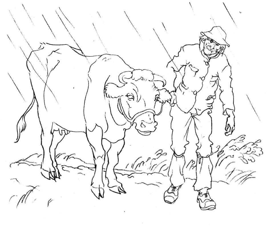 Vaca și fermier