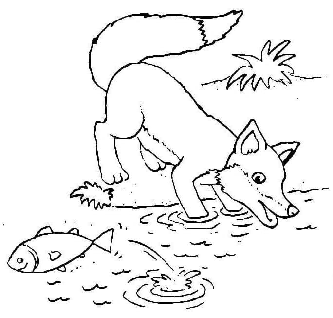 Vulpea prinde pește