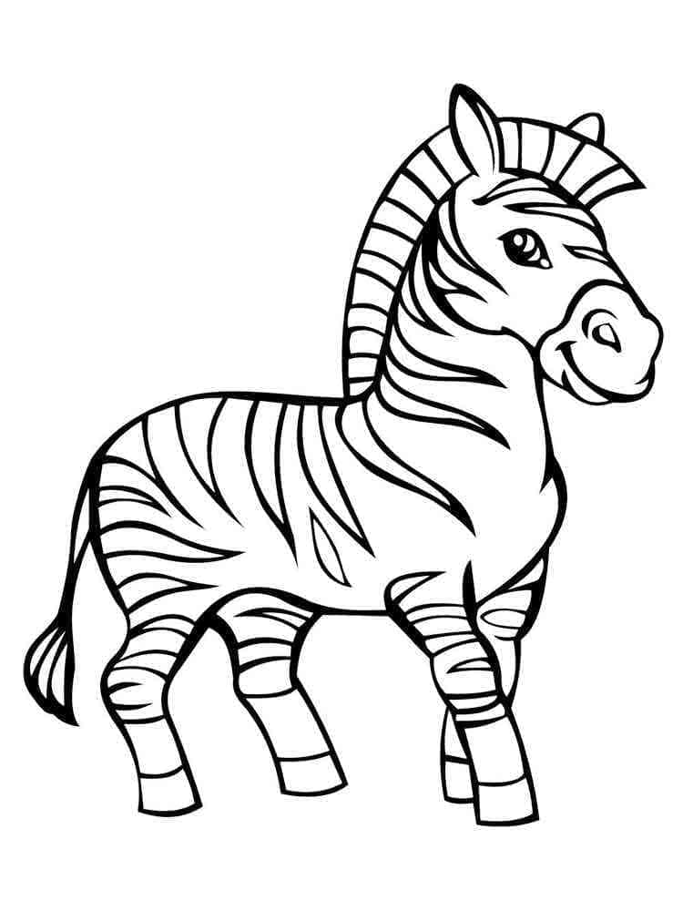 Zebră adorabilă