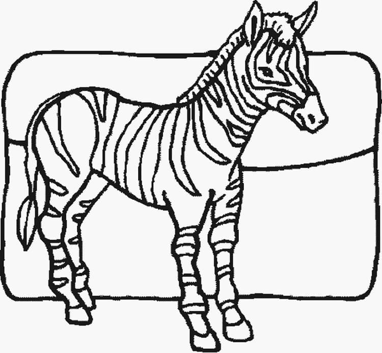 Zebră imprimabil pentru copii