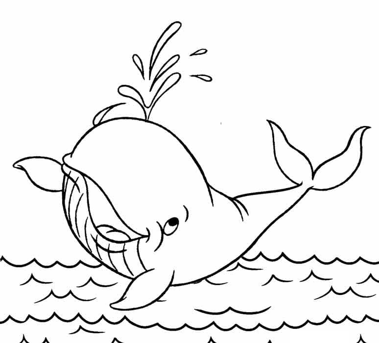Balene de colorat p11