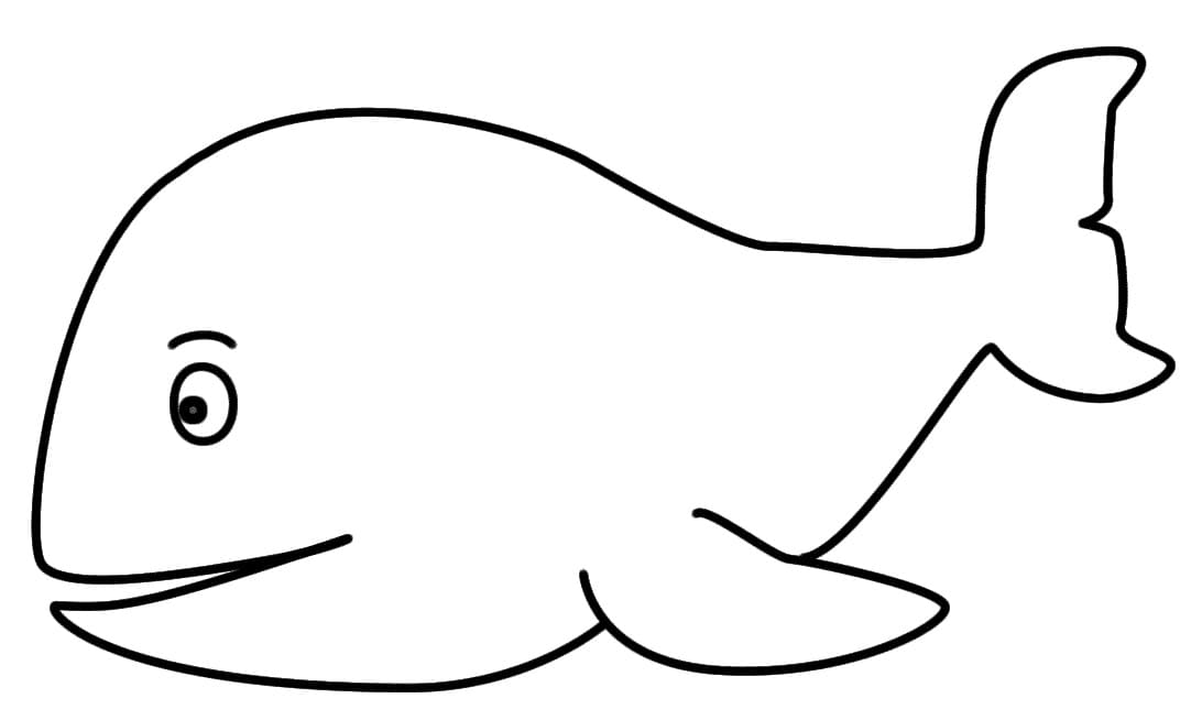 Balene de colorat p14