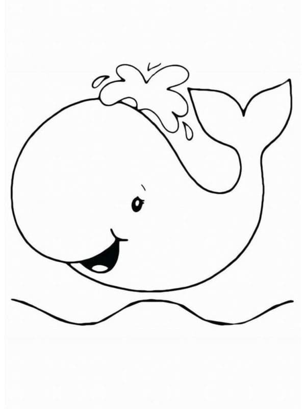 Balene de colorat p29