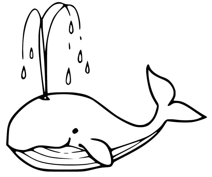 Balene de colorat p34