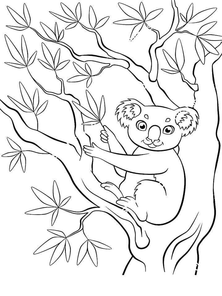Koala de colorat p23
