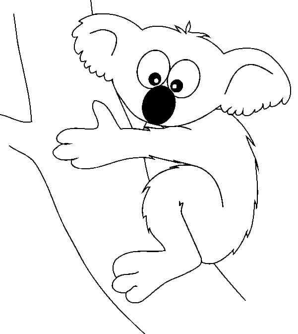 Koala de colorat p48