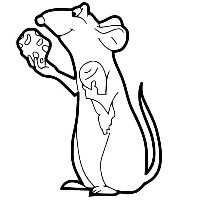 Ratatouille de colorat p03