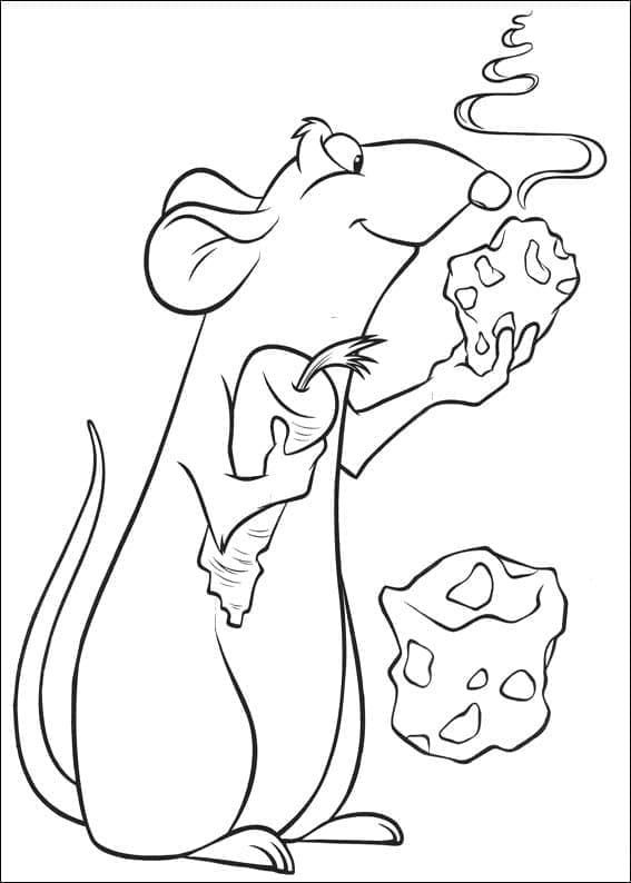 Ratatouille de colorat p47