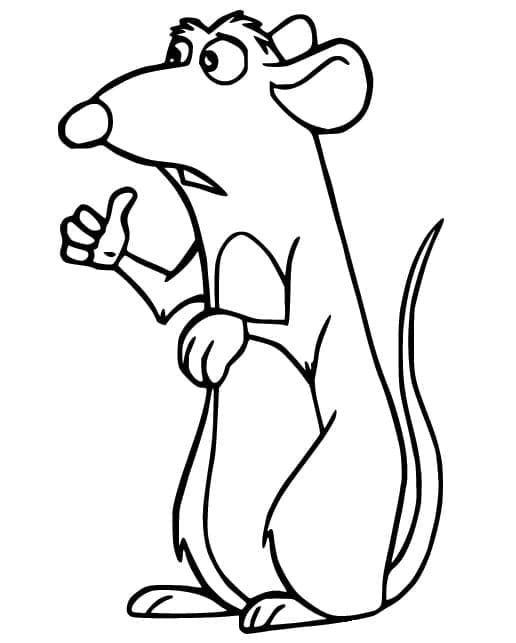 Ratatouille de colorat p48