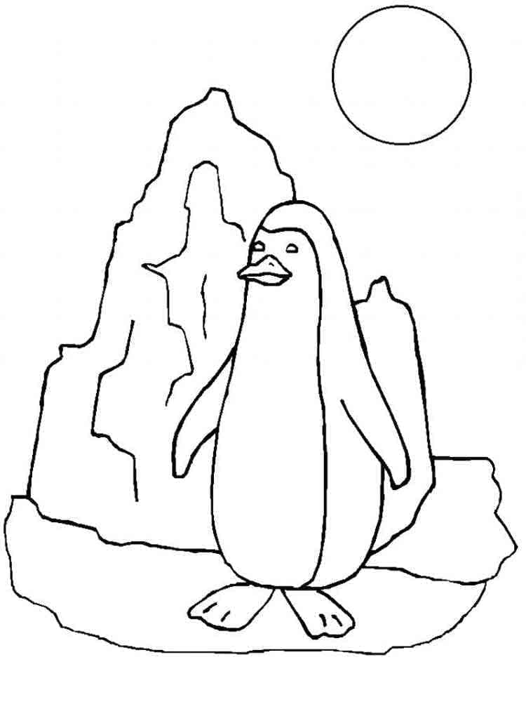 Animale pinguini de colorat p14
