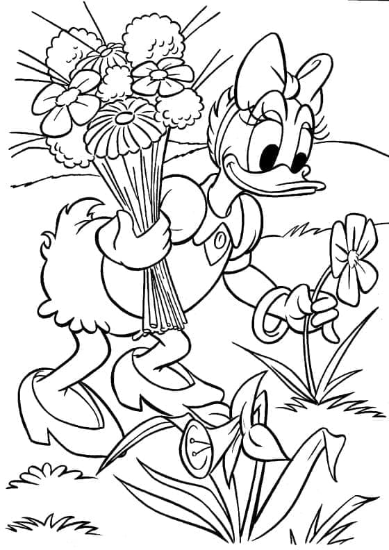 Daisy duck de colorat p02