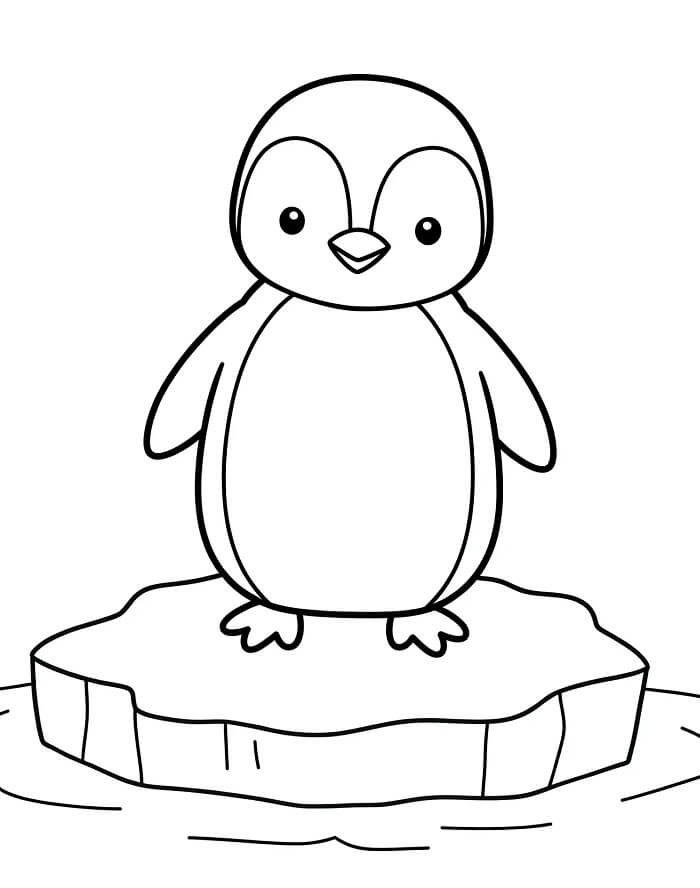 Fise de colorat cu Pinguin de colorat p10