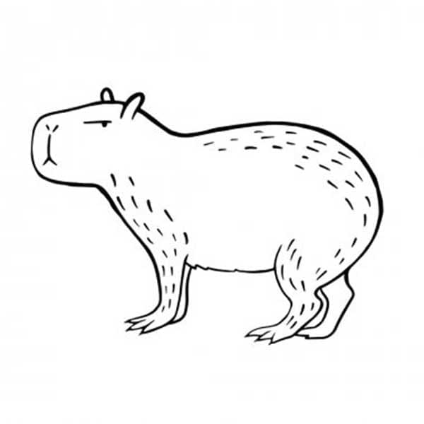 Capibara de colorat p09