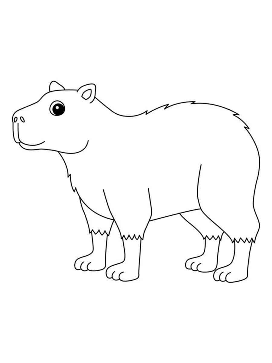 Capibara