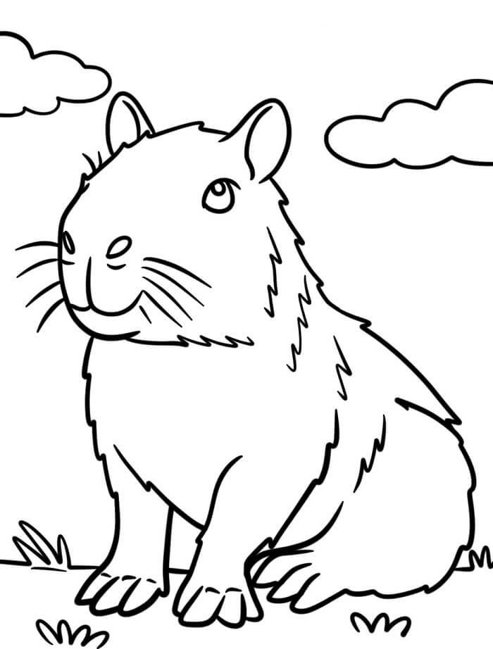 Fise de Colorat cu Un capibara drăguț