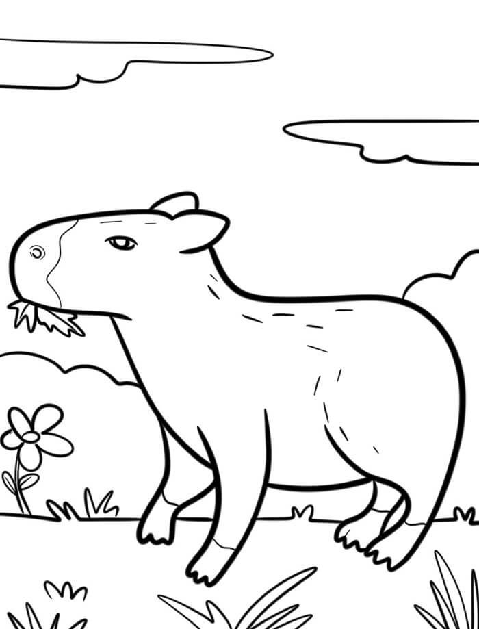 Fise de Colorat cu Un capibara
