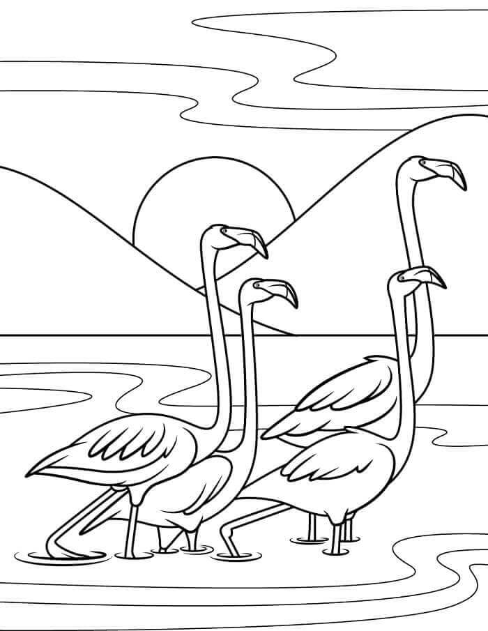 Fise de Colorat cu Flamingo Gratuite Pentru Copii