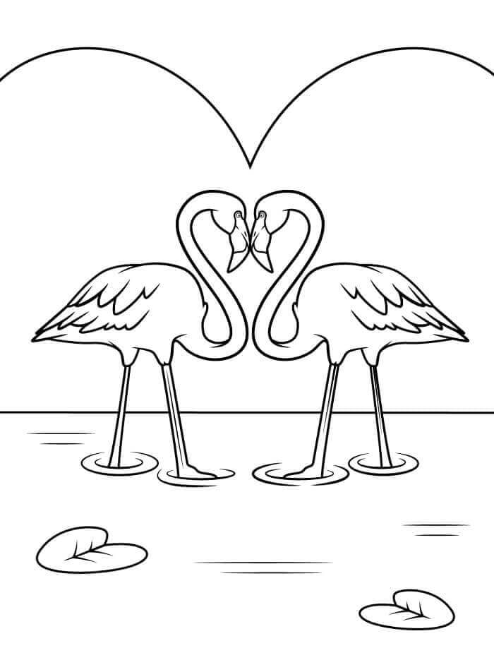 Fise de Colorat cu Flamingo Gratuite