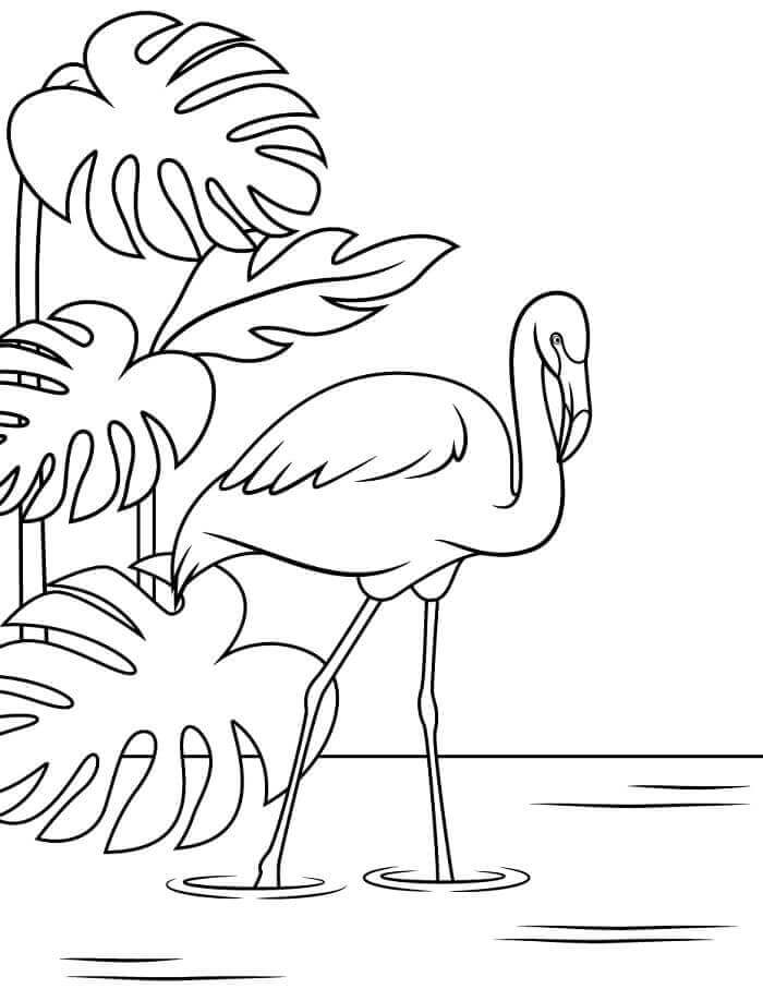 Fise de Colorat cu Flamingo Imprimabile