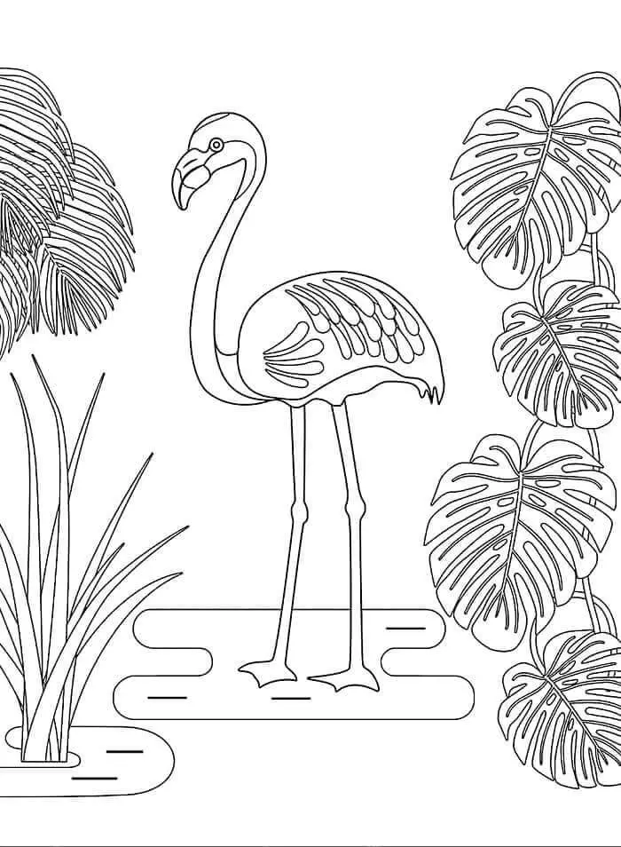 Fise de Colorat cu Flamingo Pentru Copii