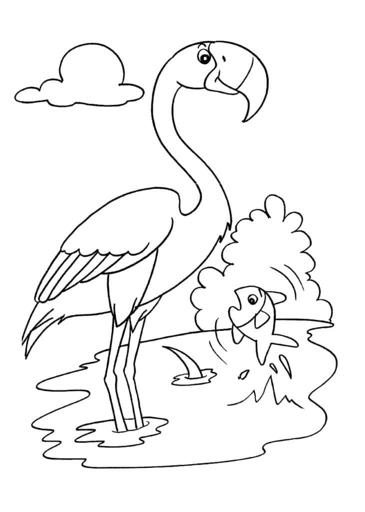 Flamingo de colorat p01