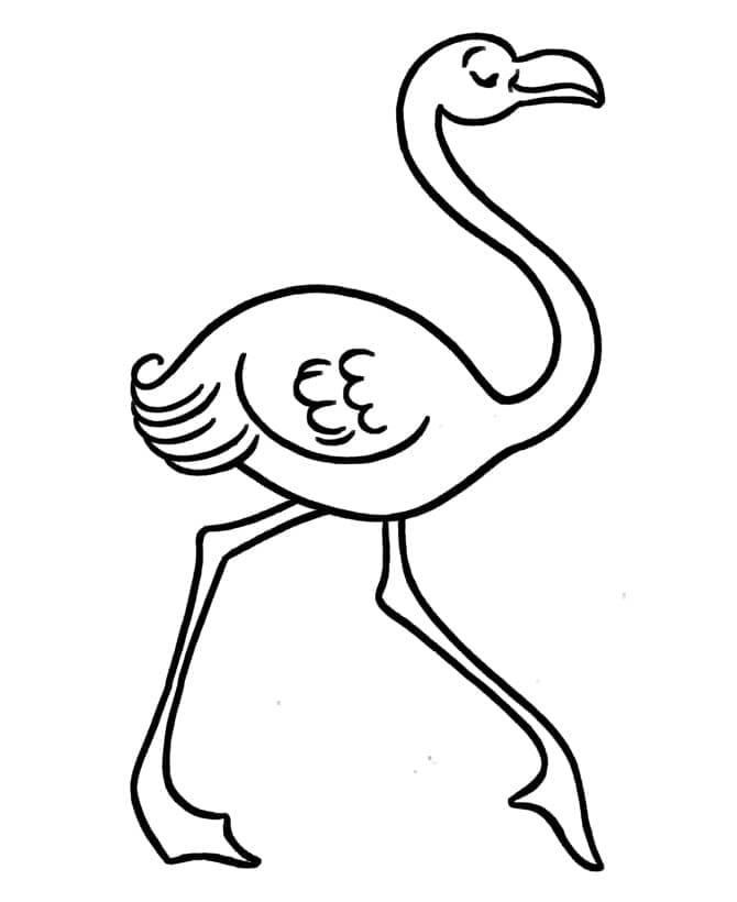 Flamingo de colorat p10