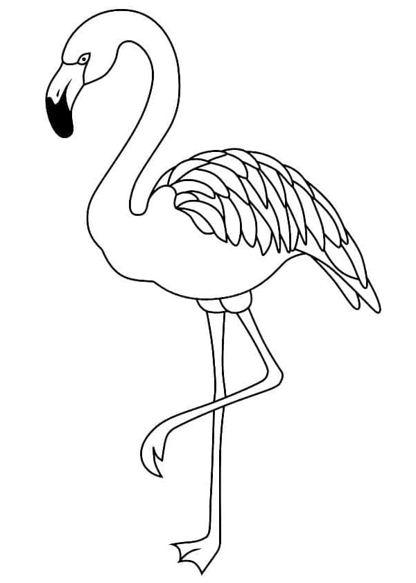 Flamingo de colorat p21