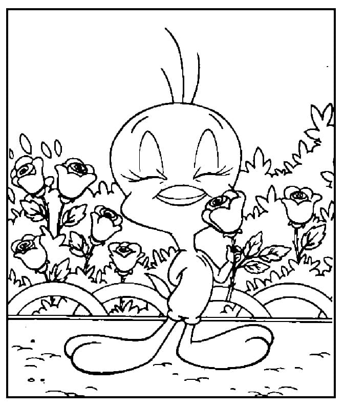 Tweety de colorat p17