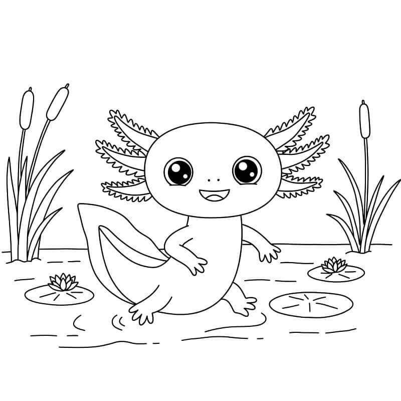 Fise de colorat cu Axolotl Gratuite
