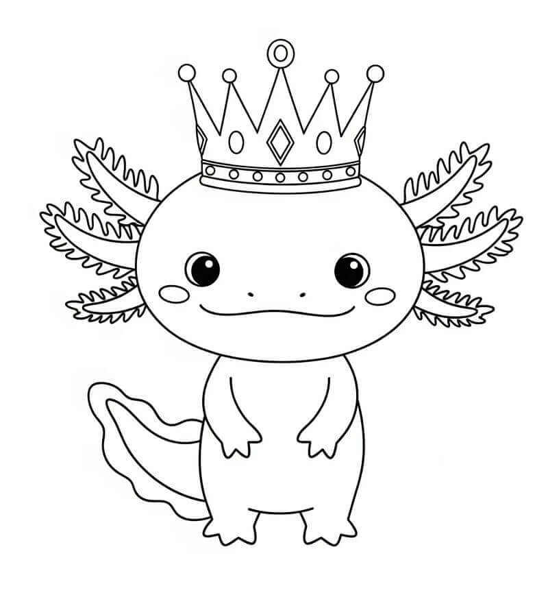 Fise de colorat cu Axolotl minunat