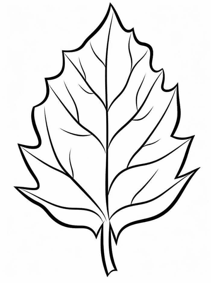 Fise de colorat cu Frunze Gratuite Pentru Copii